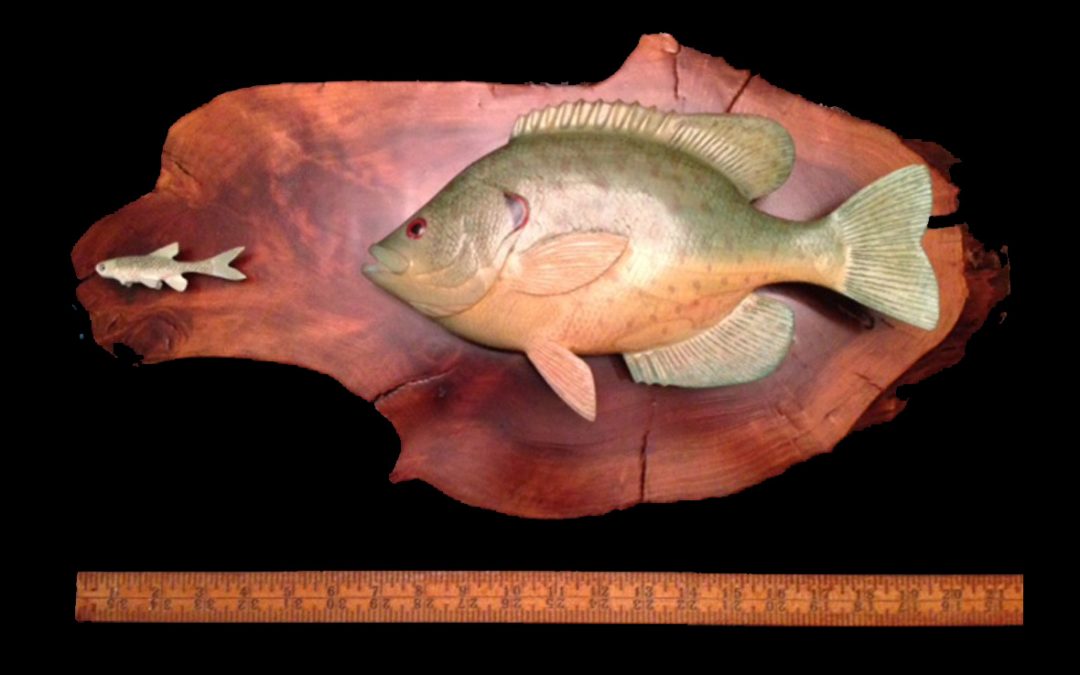 fishing planet north carolina unique redear sunfish